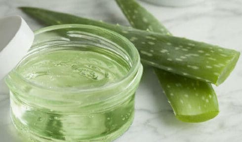 aloe vera for dandruff – Curling Diva