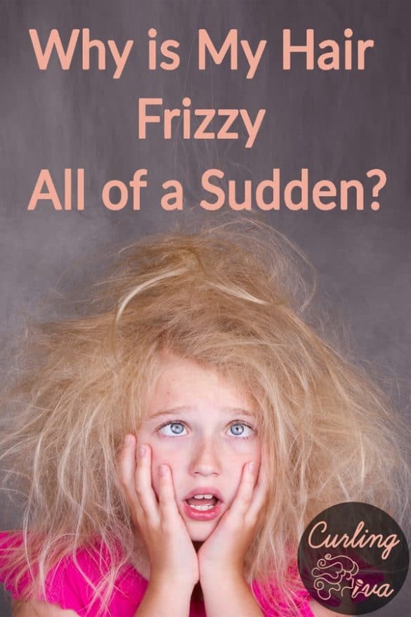 Why Is My Hair Frizzy All Of A Sudden Curling Diva