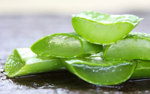 Aloe Vera leaves on wooden background